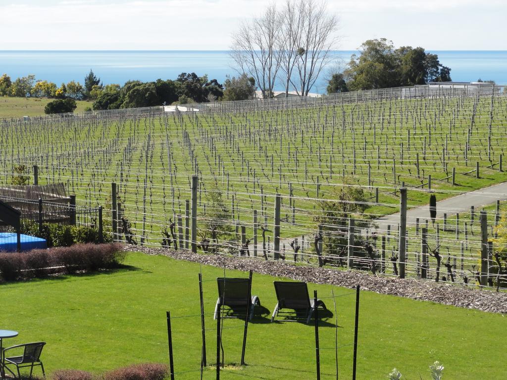 Pine Hill Lodge In Vineyard Mapua Esterno foto