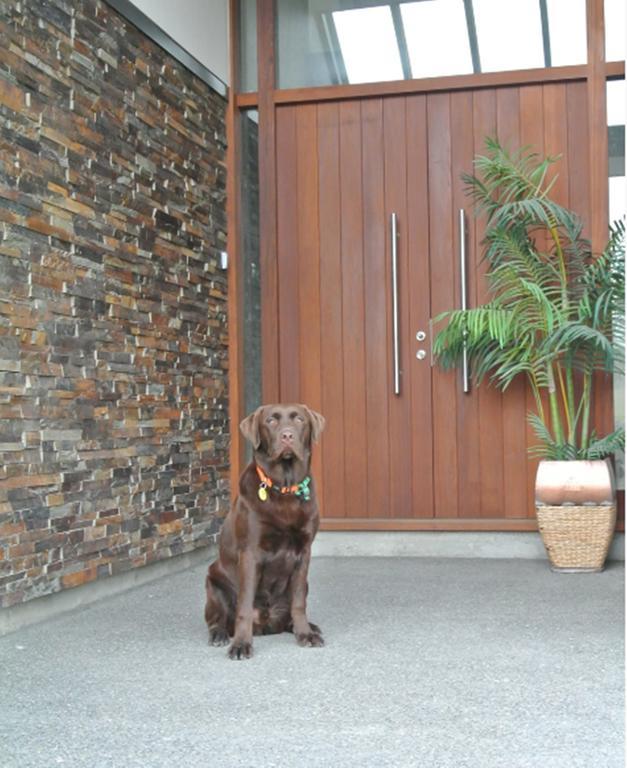 Pine Hill Lodge In Vineyard Mapua Esterno foto
