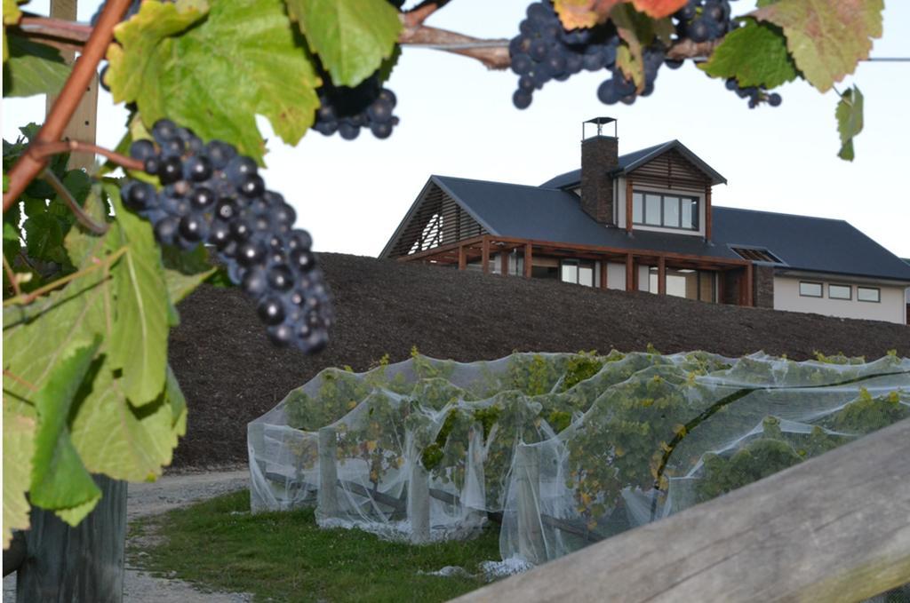 Pine Hill Lodge In Vineyard Mapua Esterno foto