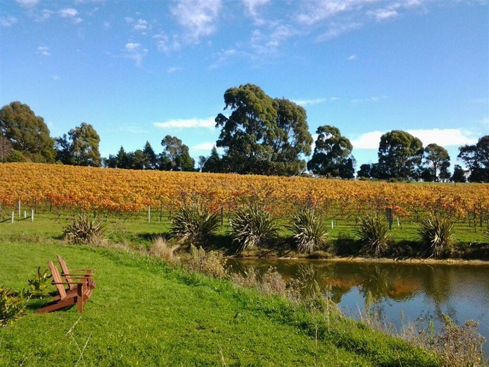 Pine Hill Lodge In Vineyard Mapua Esterno foto