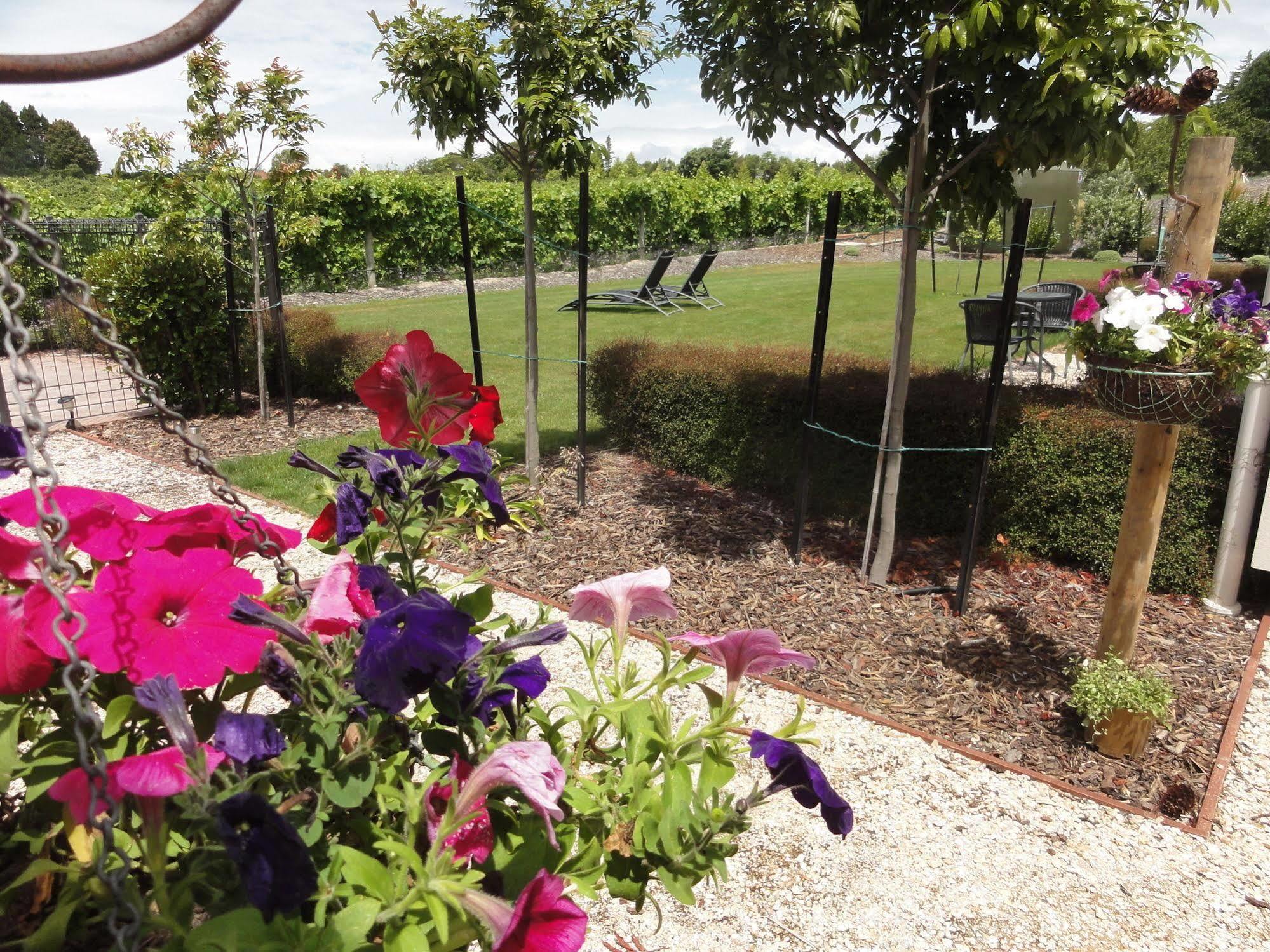 Pine Hill Lodge In Vineyard Mapua Esterno foto